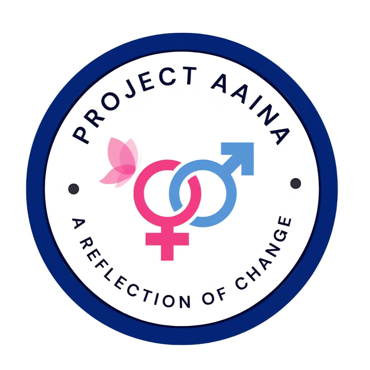 Project AAINA logo